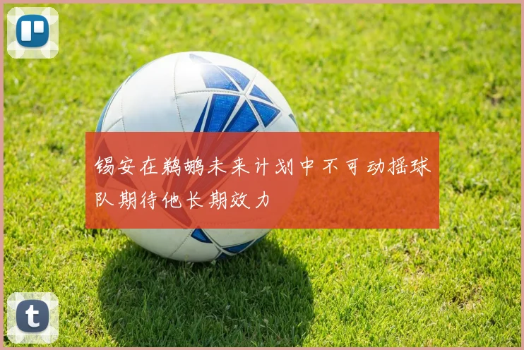 锡安在鹈鹕未来计划中不可动摇球队期待他长期效力