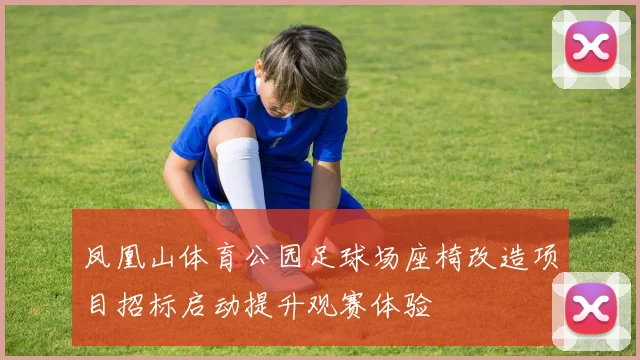 凤凰山体育公园足球场座椅改造项目招标启动提升观赛体验